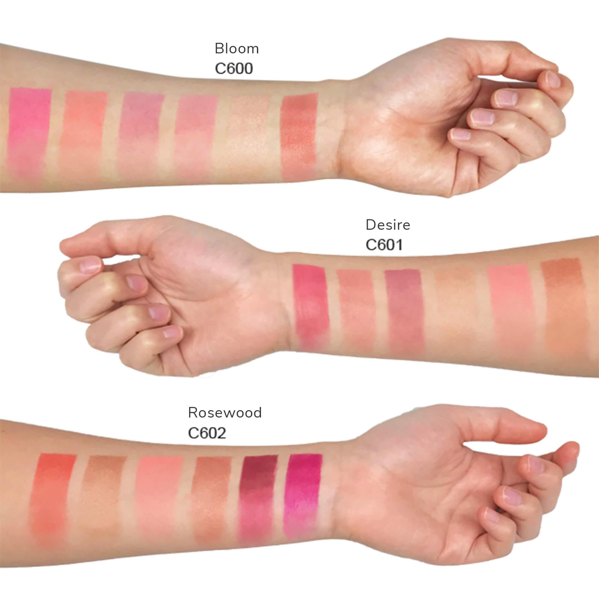 Blush Palette - Desire - Imaica